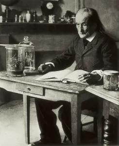 Biological Prints: FABRE, Jean Henri Casimir (1823-1915)