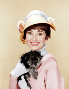 Puppy Prints: MY FAIR LADY, Audrey Hepburn, 1964