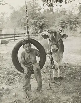 Recreation Prints: Farm boy in a tire swing holds a bridled Guernsey cow on a tether, c. 1925-30