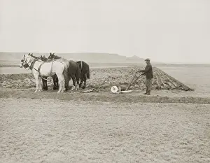 Occupational Portrait Prints: A farmer turns over the first sod on a new homestead in Sun River