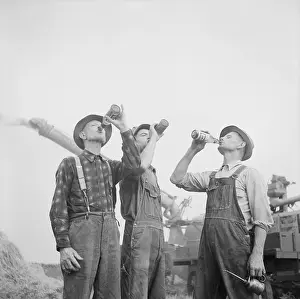 Grain Prints: Farmers drinking beer during fall harvest in Jackson