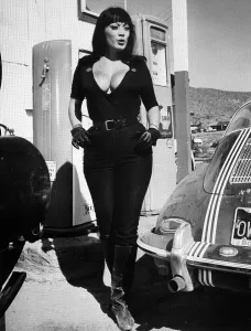 Busty Prints: FASTER, PUSSYCAT! KILL! KILL!, Tura Satana, 1965