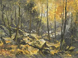 Sunshine Prints: Felsenmeer, by Egbert Rubertus Derk Schaap