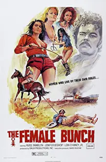 Exploitation Prints: THE FEMALE BUNCH, US poster art, Russ Tamblyn (right), 1969
