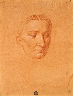 Daydreaming Prints: Female Head, by Cesare da Sesto