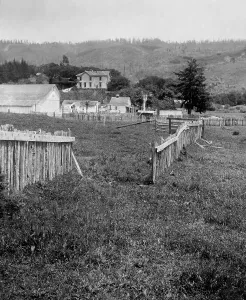 Farms Prints: A fence was displaced 8.5 feet near the San Andreas Fault after the April 1906 earthquake