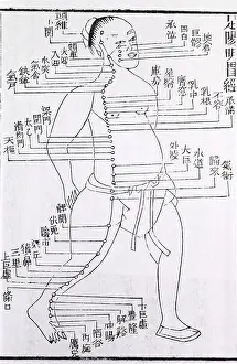 Woodcut Prints: Figure with acupuncture points and meridian for stomach