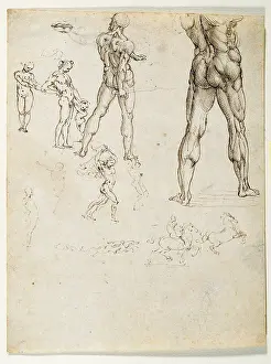Figure studies and nudes for the Battle of Anghiari, by Leonardo da Vinci, 16th Century, 1505 about, traces of black chalk and pen, mm 254 x 197 - Italy, Piemonte, Turin