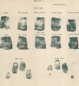 Criminal Prints: Fingerprint record sheet
