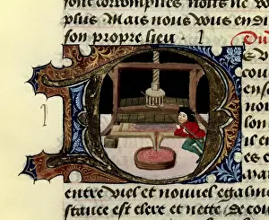 Firenze Prints: FIRENZE, Aldebrando da (14th century)