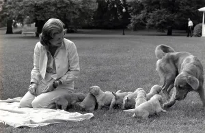 Presidents Wives Prints: First Lady Betty Ford and the family's pet golden retriever
