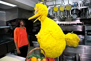 Public Health Prints: First Lady Michelle Obama with Big Bird in the White House Kitchen, Feb. 13, 2013