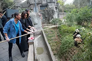 Active Prints: First Lady Michelle Obama, daughters Sasha and Malia feed apples to giant pandas