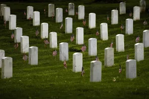 Cemetery Prints: Flags at gravesites in Arlington National Cemetery for Memorial Day observance