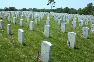 Cemetery Prints: Flags at gravesites in Arlington National Cemetery for Memorial Day observance