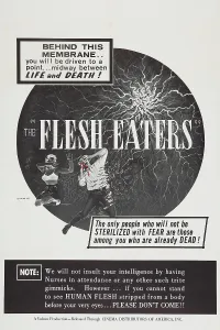 Images Dated 13th June 2013: THE FLESH EATERS, poster art, 1964