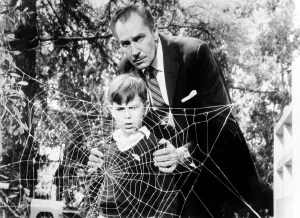 Spider Web Prints: THE FLY, Charles Herbert, Vincent Price