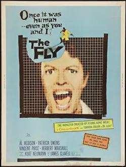 Images Dated 12th June 2013: THE FLY, Patricia Owens on poster art