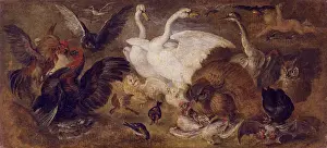 Swan Prints: Flying Putto with Birds