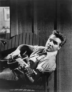 Images Dated 17th March 2015: FOLLOW THAT DREAM, Elvis Presley, 1962