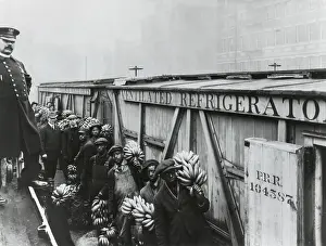 Inspection Prints: Food and Drug Administration inspector ready to inspect bananas in Baltimore