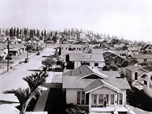 Wells Prints: Forest of derricks in the Signal Hill oil fields near Long Beach