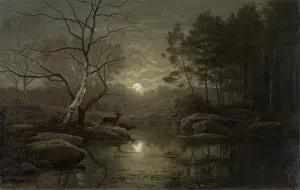 Nighttime Prints: Forest Landscape in the Moonlight