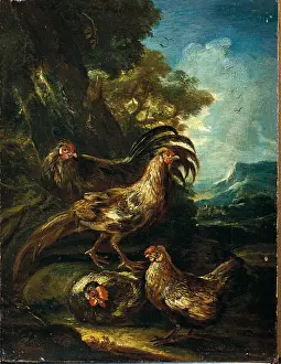 Plumage Prints: Fowls, by Angelo Maria Crivelli also known as Crivellone, ca