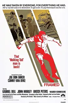 2014 Prints: FRAMED, US poster art, Joe Don Baker, 1975