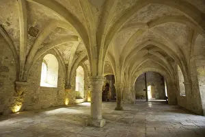 Burgundy Prints: FRANCE. Bitis. Abbey of Fontenay