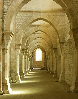 Burgundy Prints: FRANCE. Bitis. Abbey of Fontenay