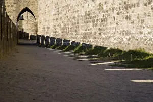 Shady Prints: FRANCE. Carcassonne. Medieval city or Cit. AISA/Everett Collection**US SALES ONLY**