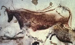 To Hunt Prints: FRANCE. Montignac. The Cave of Lascaux