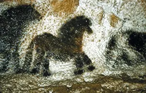 Stone Age Prints: FRANCE. Montignac. The Cave of Lascaux