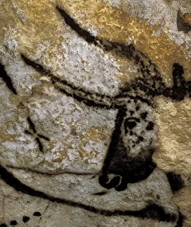Prehistoric Prints: FRANCE. Montignac. The Cave of Lascaux