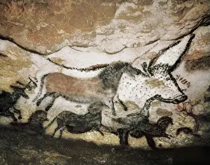 Prehistoric Prints: FRANCE. Montignac. The Cave of Lascaux