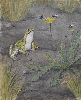 Brush Prints: Frog Near a Dandelion with Flies