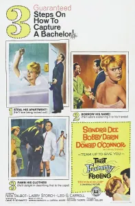 Bobby Prints: THAT FUNNY FEELING, US poster art