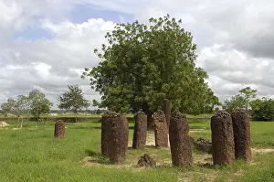 Africa Prints: THE GAMBIA. Wassu. Stone circles. AISA/Everett Collection**US SALES ONLY**