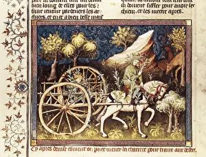 To Hunt Prints: GASTON III de Foix-Bearn (1331 - 1391)