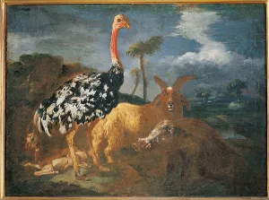 Tranquil Scene Prints: Gazelle, Lady, Ostrich, Ram and Wild Boar