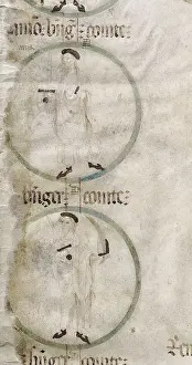 Parchment Prints: Genealogy of the Crown of Aragon
