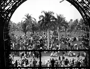 Palm Tree Prints: A general view of the Paddock at the Hialeah Park Track at Miami