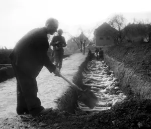 Shovel Prints: A German civilian helps bury some of the 2