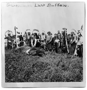 Buffalo Prints: Geronimo's last buffalo. Geronimo standing over dead buffalo