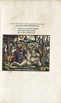 Healing Prints: GESSNER, Conrad (1516-1565). 'Historiae Animalium' (1551)
