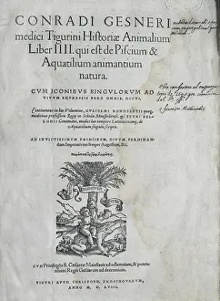 Healing Prints: GESSNER, Conrad (1516-1565). 'Historiae Animalium' (1558)