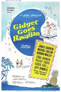 Surfboard Prints: GIDGET GOES HAWAIIAN, poster art, 1961
