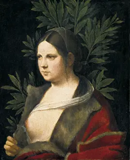 Petrarch 1304 1374 Prints: GIORGIONE, Giorgio da Castelfranco
