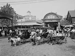 Brooklyn Prints: The Goat carriages in front of the zoo, Coney Island, New York, N.Y. 1900-1910